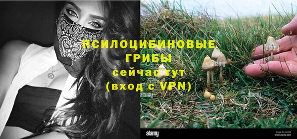 стаф Заволжье