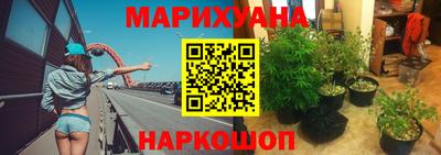 крисы Конаково