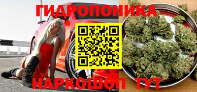 крисы Конаково