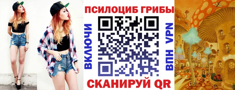 где купить наркоту Знаменск Галлюциногенные грибы мухоморы