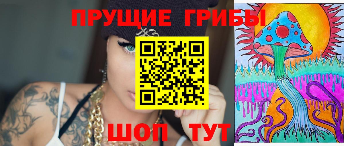 Псилоцибиновые грибы Cubensis Знаменск