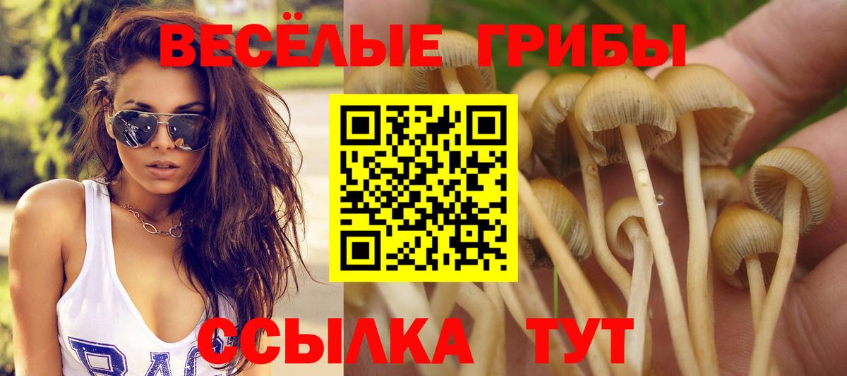 Знаменск  Псилоцибиновые грибы мицелий  Вход с VPN 
